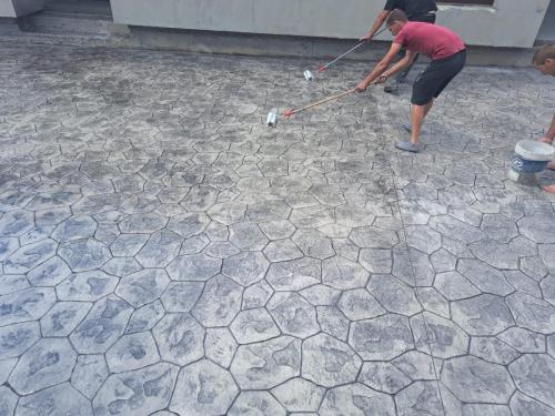 WhatsApp Image 2025-01-13 at 17.28.56 e3bc0ab9